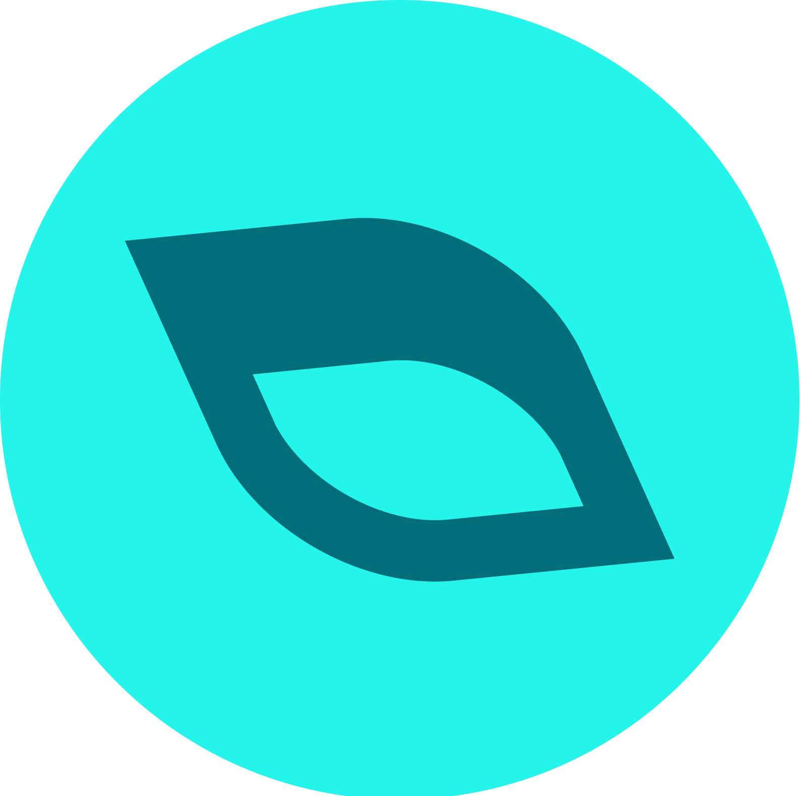 Shreya Narayan - Affiliate Manager