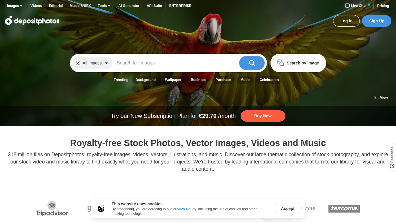 Depositphotos Affiliate Program