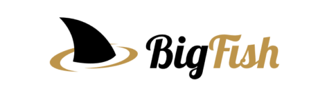 Bigfish Partners Affiliate Department Contact - Affiliate Manager
