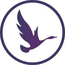 OdinSchool Affiliate Department Contact - Affiliate Manager