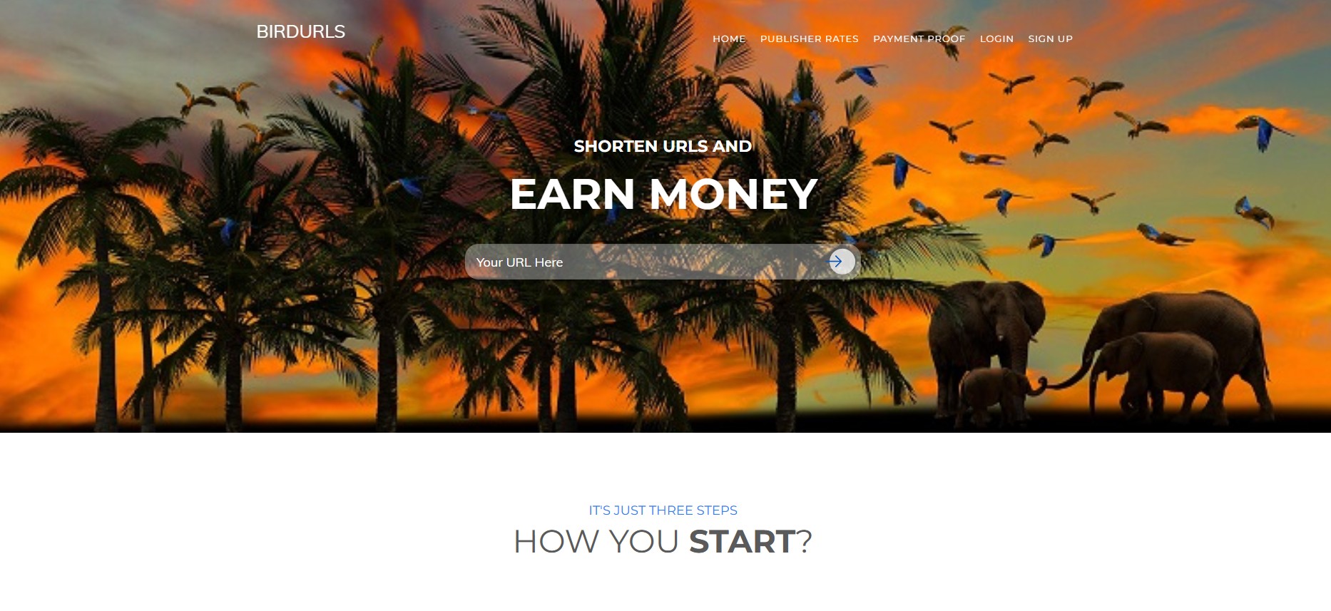 BirdUrls Affiliate Program