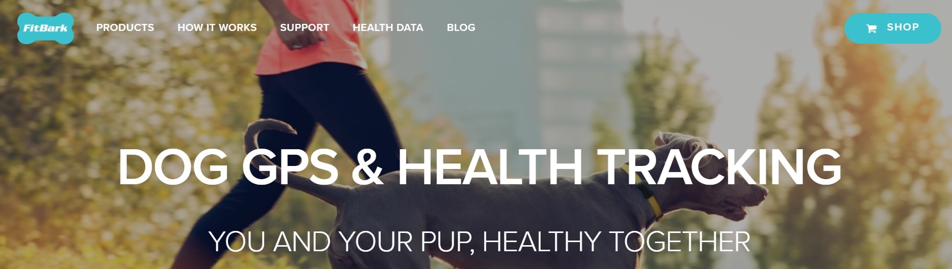 Fitbark website screenshot