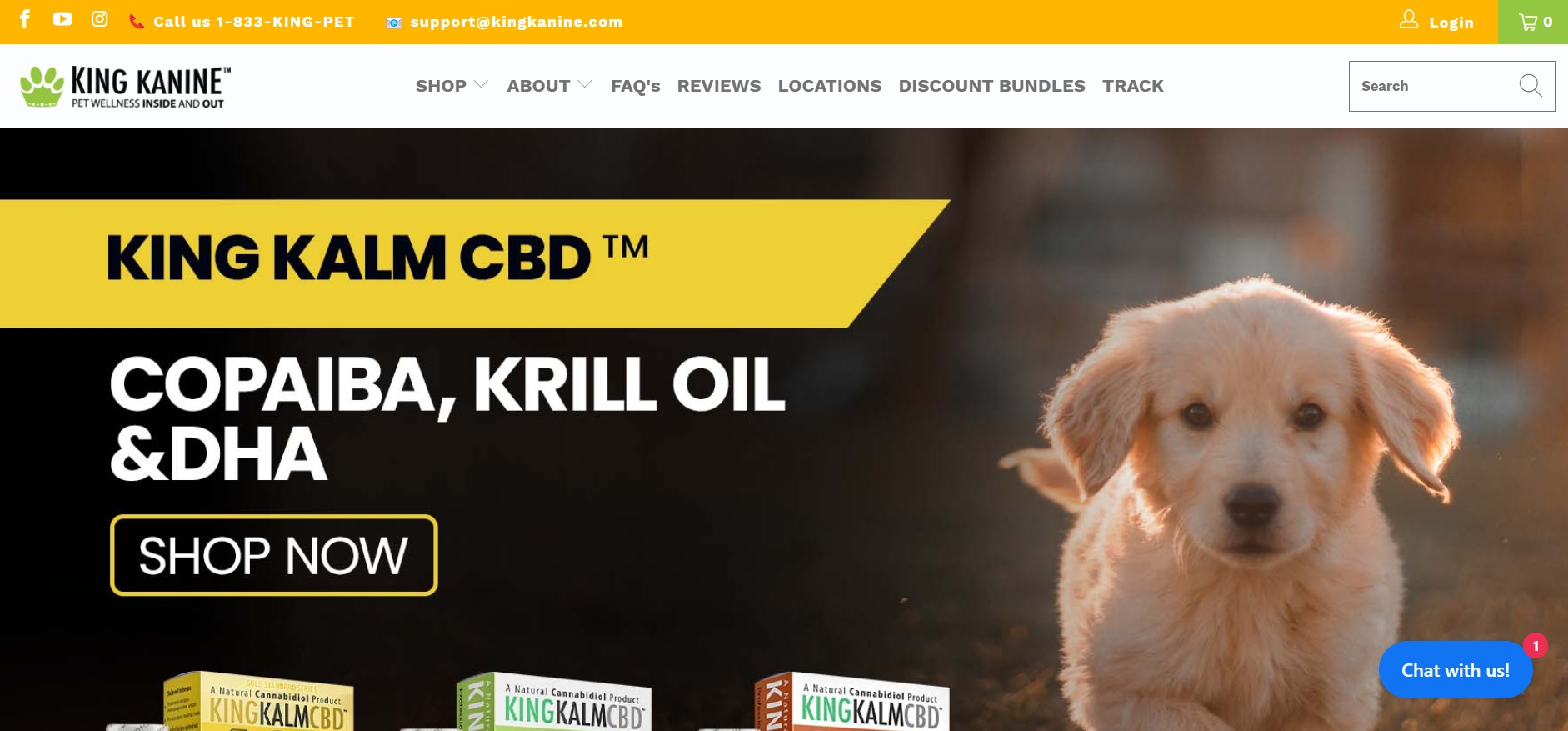 King Kanine website screenshot