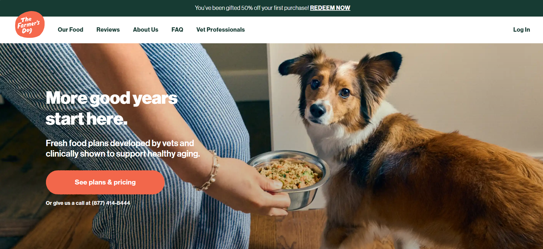 Rover website screenshot