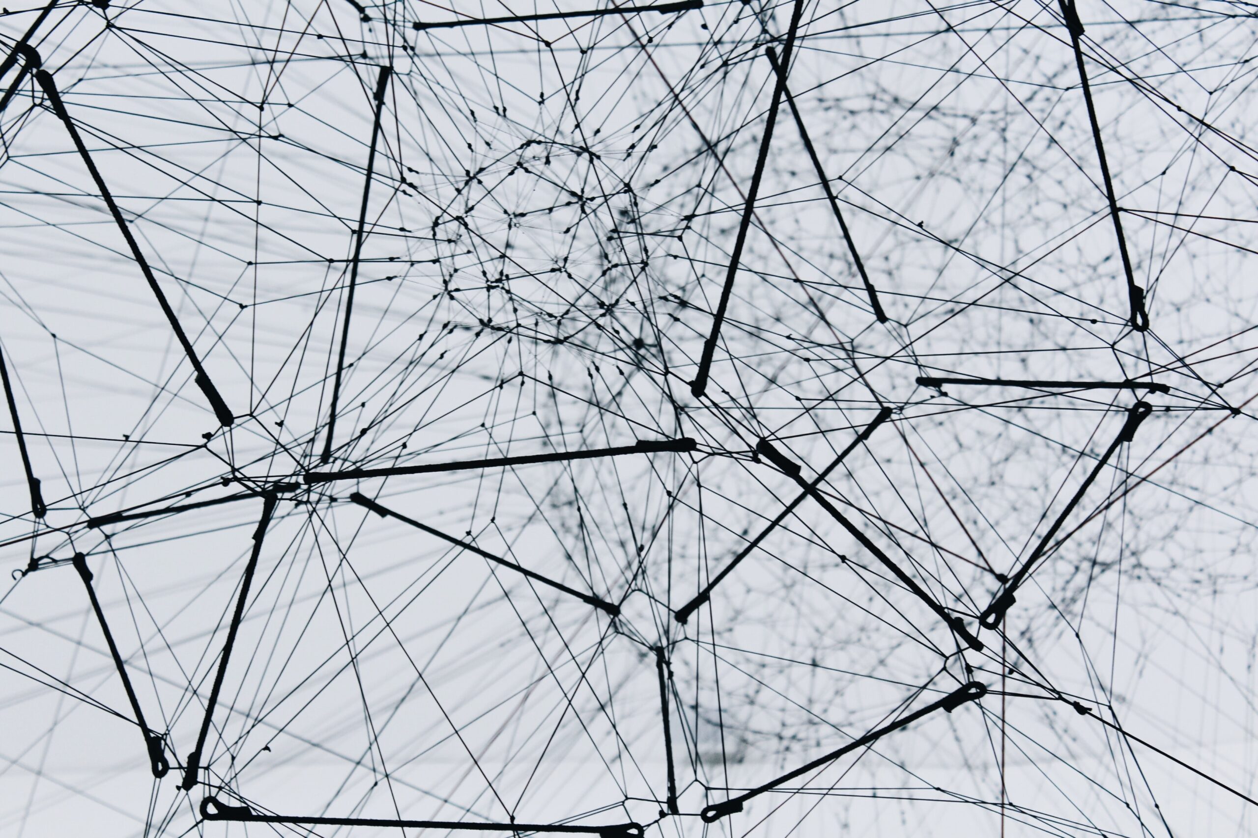 search within the network