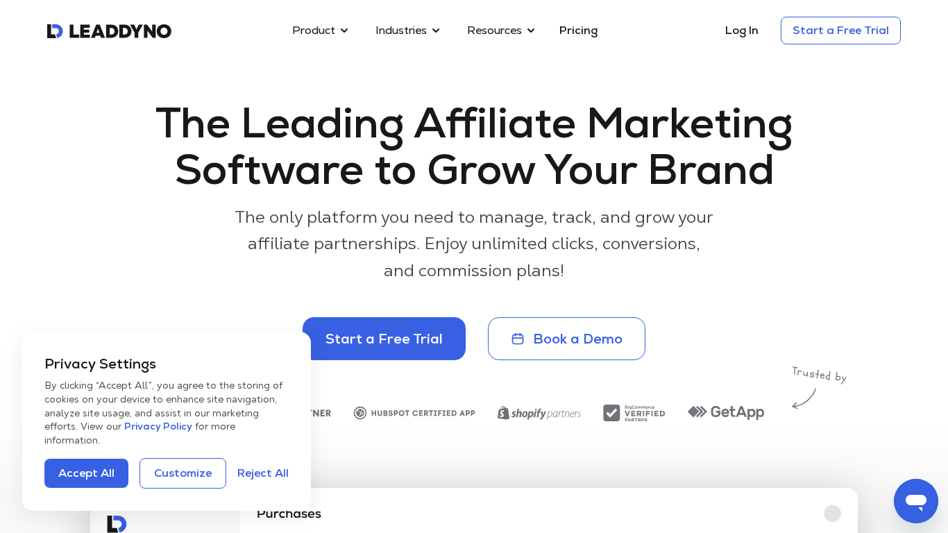 LeadDyno affiliate program management dashboard
